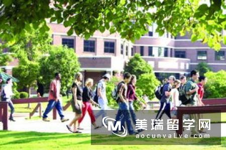 新加坡私立大学热门专业、学费及生活费大汇总