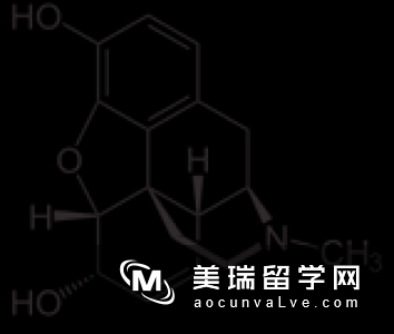 有哪些药不能带进美国？入境美国带这些药物千万不能带