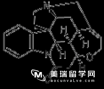 有哪些药不能带进美国？入境美国带这些药物千万不能带