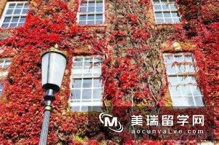 伦敦大学金史密斯学院怎么样？