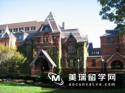 英国大学对不同背景学生接受程度排名，教育不平等