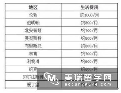 英国mis专业留学学费大概多少？