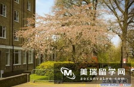 87.Roehampton University|罗汉普顿大学