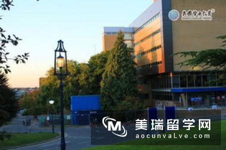 英国萨里大学排名情况如何?