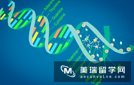 英国生物专业分支你了解吗？