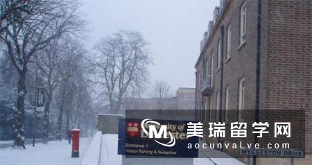 英国大学带薪实习专业哪些提供？