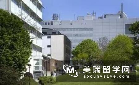 英国埃塞克斯大学经济类专业入学要求有哪些？