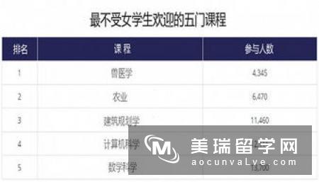 教育类专业申请英国留学应从职业方向考虑