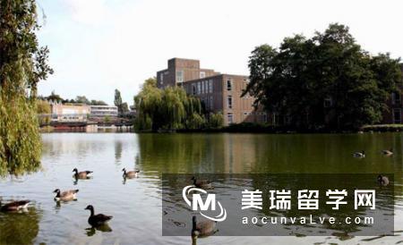 2018英国约克大学新增六项专业课程！