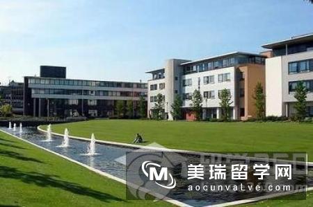 英国华威大学管理学硕士专业介绍